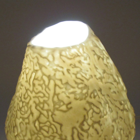 In Complex Light